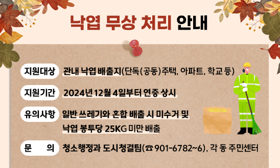 『낙엽 무상 처리 안내』
○ 지원대상: 관내 낙엽 배출지(단독(공동)주택, 아파트, 학교 등)
○ 지원기간: 2024년 12월 4일부터 연중 상시
○ 유의사항: 일반 쓰레기와 혼합 배출 시 미수거 및낙엽 봉투당 25Kg 미만 배출
○ 문    의: 청소행정과 도시청결팀(☎ 901-6782~6), 각 동 주민센터