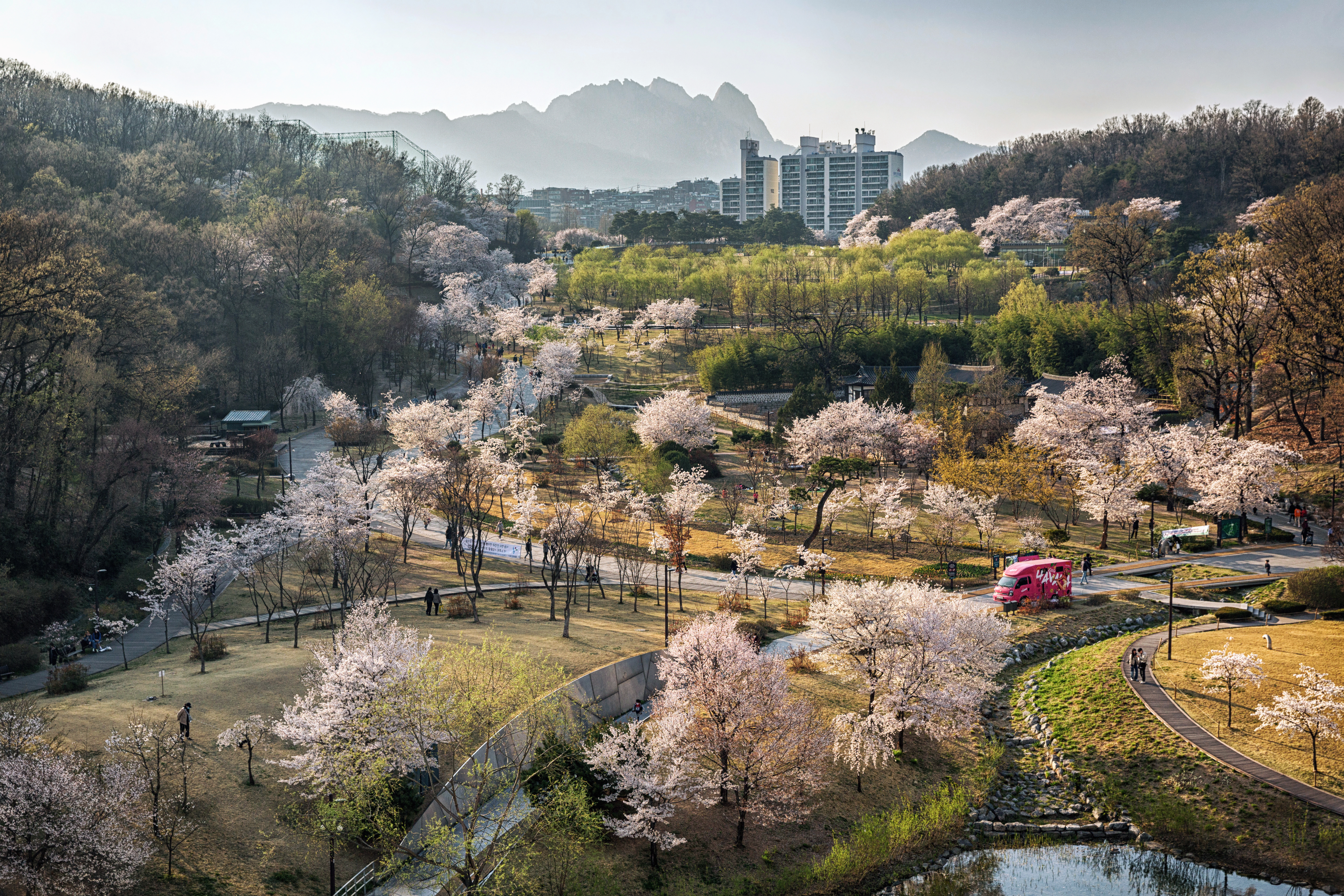 작품사진